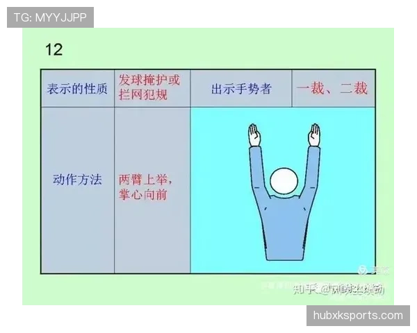 比赛暂停规则：裁判何时停止及如何恢复比赛
